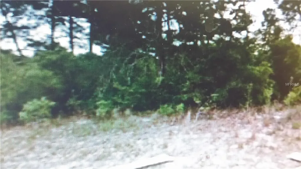 12442 Fish Cove Drive Spring Hill FL 34609
