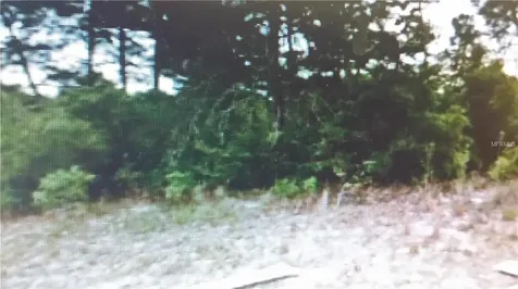 12442 Fish Cove Drive Spring Hill FL 34609