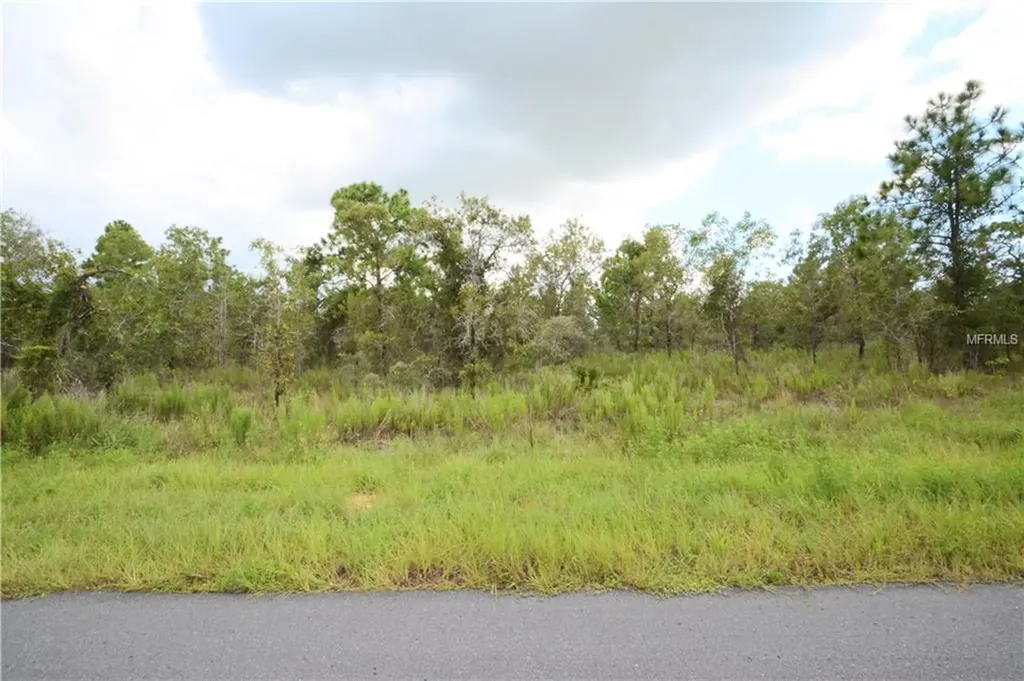 13088 Meinert Avenue Brooksville FL 34613