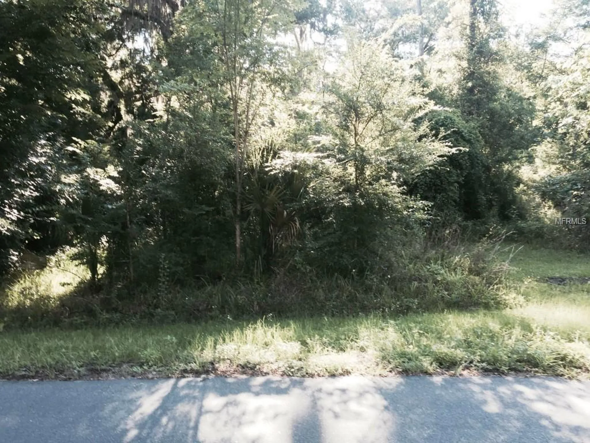 2597 Cr 426f Lake Panasoffkee FL 33538