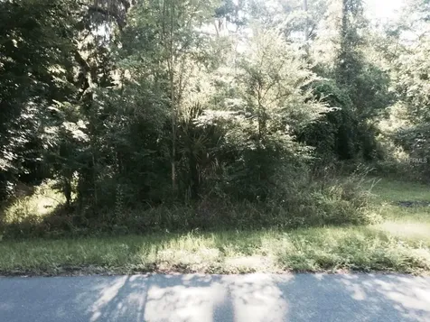 2597 Cr 426f Lake Panasoffkee FL 33538
