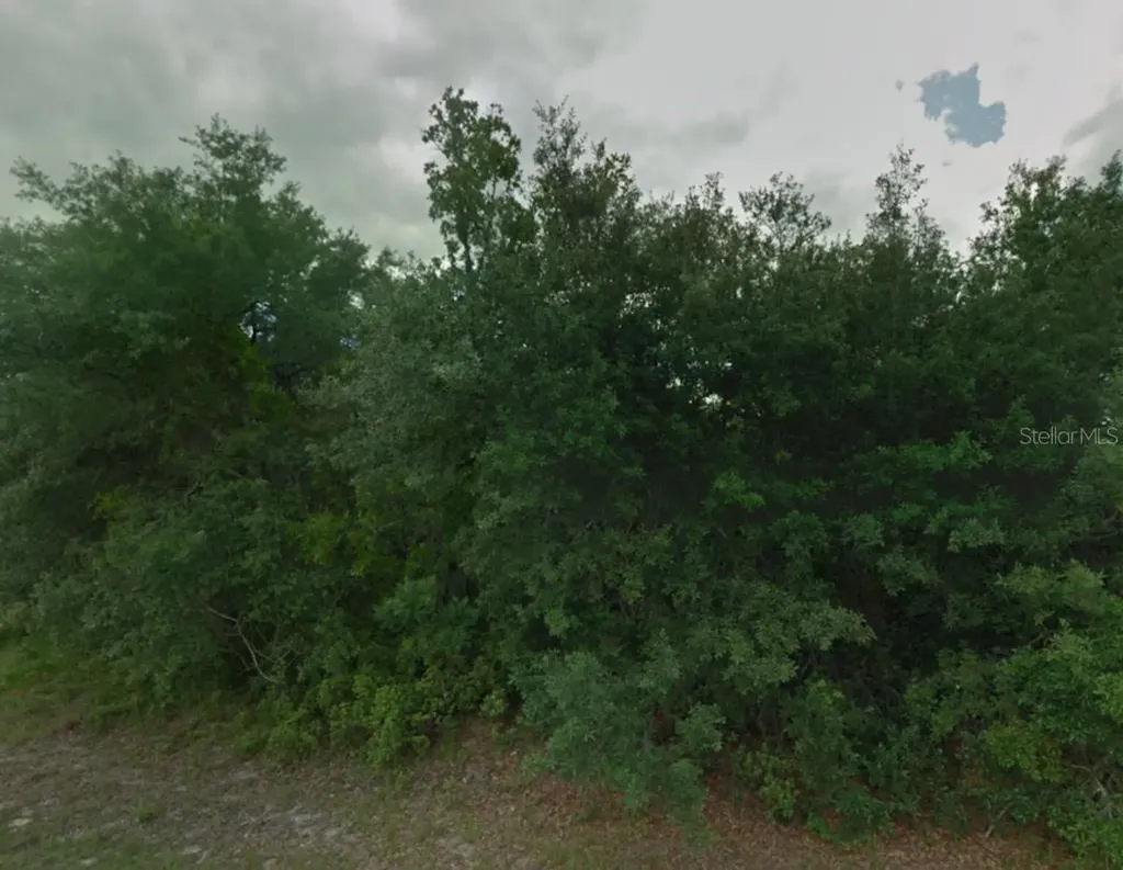 605 Marlin Way Poinciana FL 34759