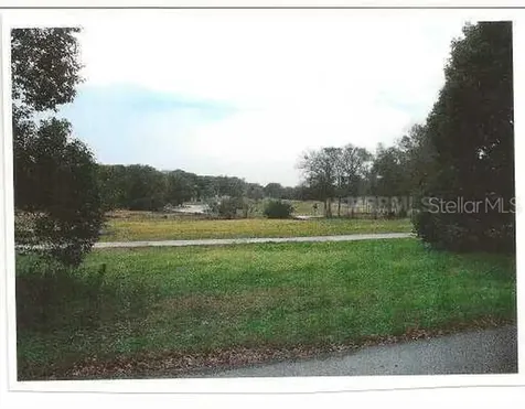 30627 Apawamis Drive Sorrento FL 32776