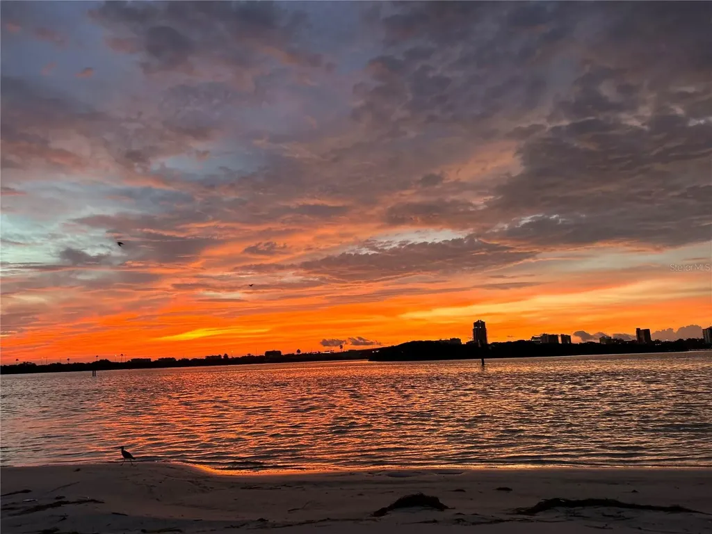 895 S Gulfview Boulevard Clearwater Beach FL 33767