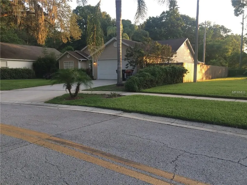 18138 Swan Lake Drive Lutz FL 33549