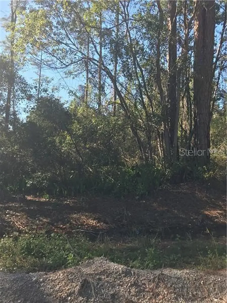 Hill Paper Avenue Deltona FL 32725