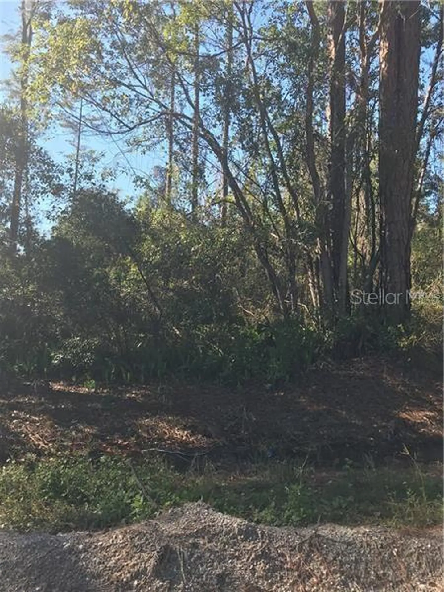 Hill Paper Avenue Deltona FL 32725