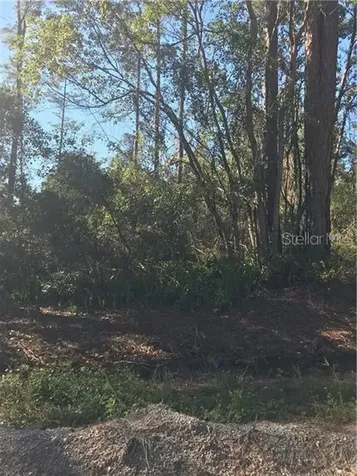 Hill Paper Avenue Deltona FL 32725
