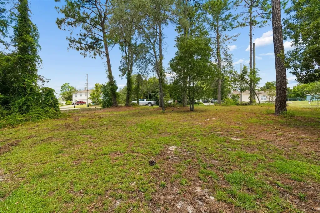 4235 Castle Avenue Spring Hill FL 34609