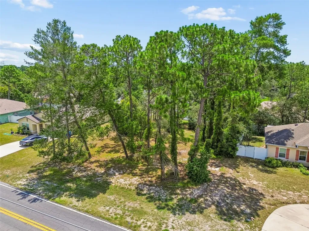 4235 Castle Avenue Spring Hill FL 34609