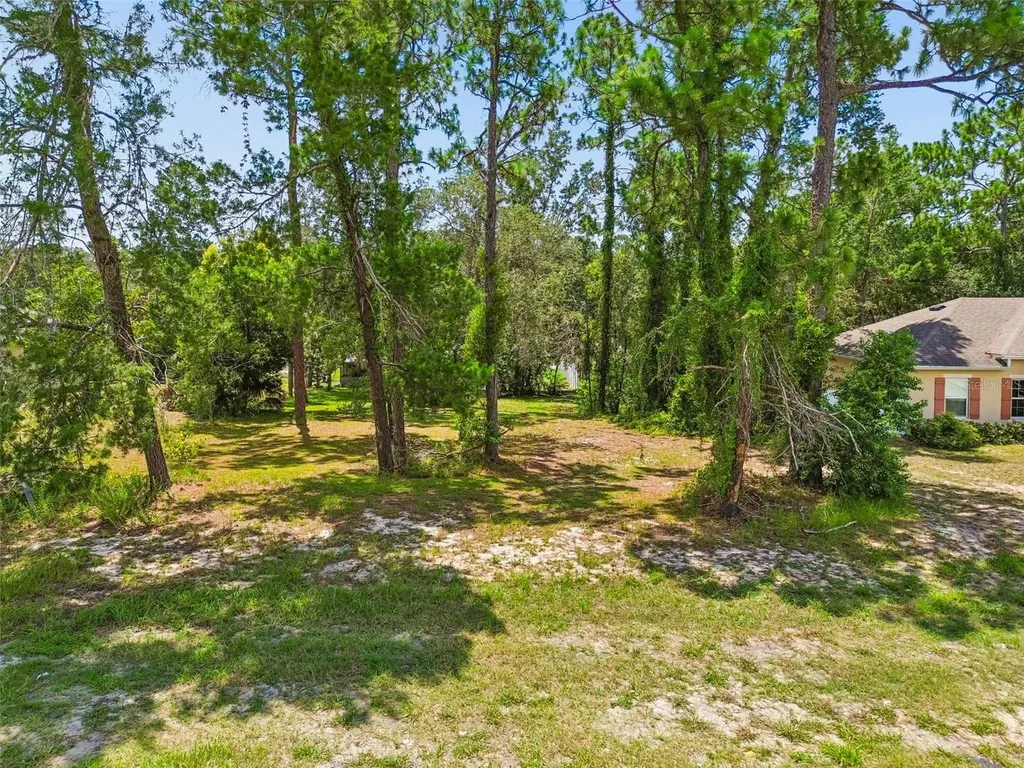 4235 Castle Avenue Spring Hill FL 34609