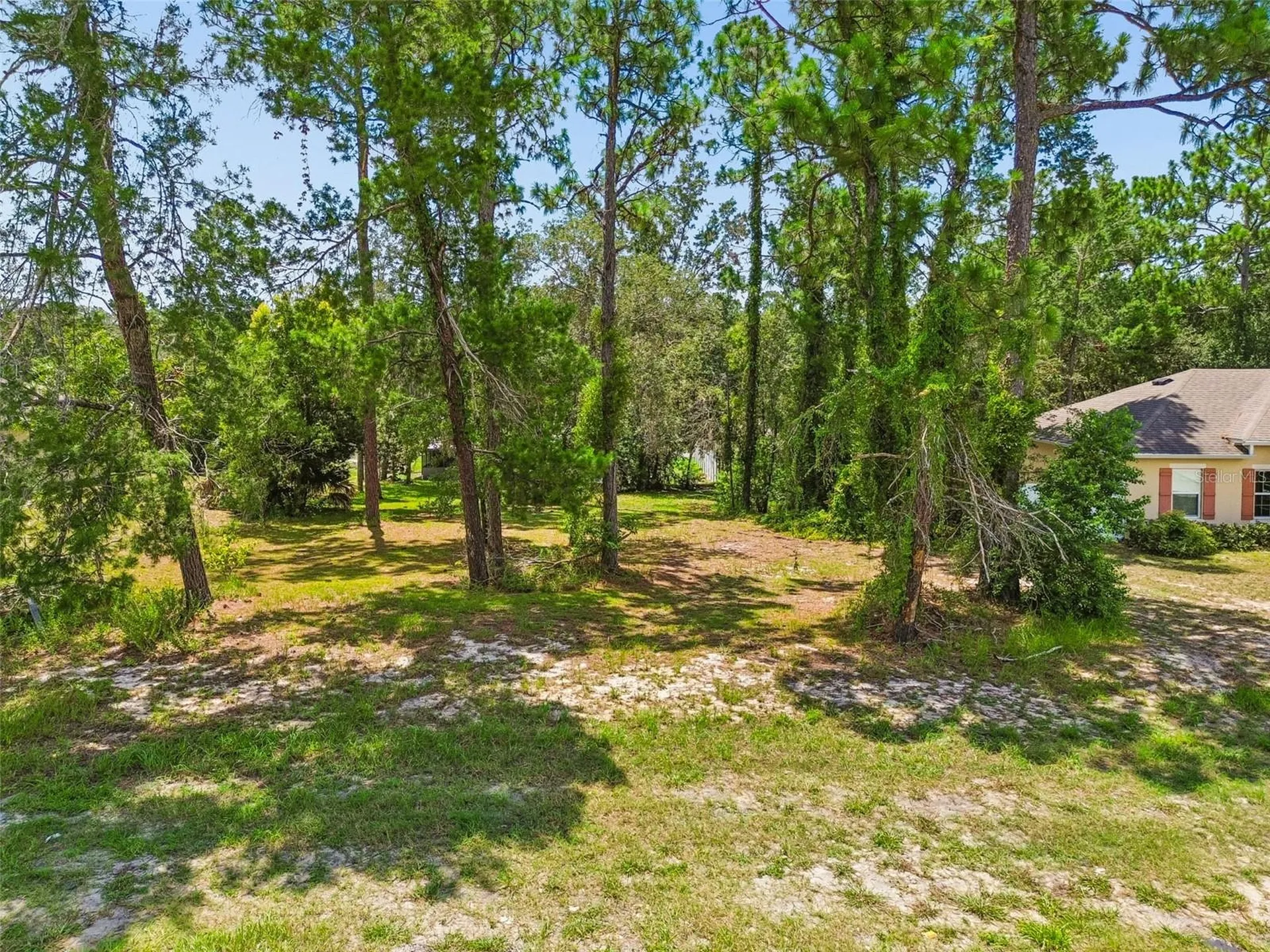 4235 Castle Avenue Spring Hill FL 34609