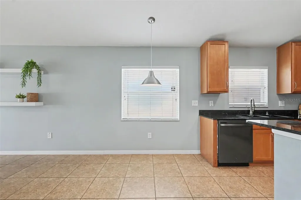 3247 Dunstable Drive Land O Lakes FL 34638