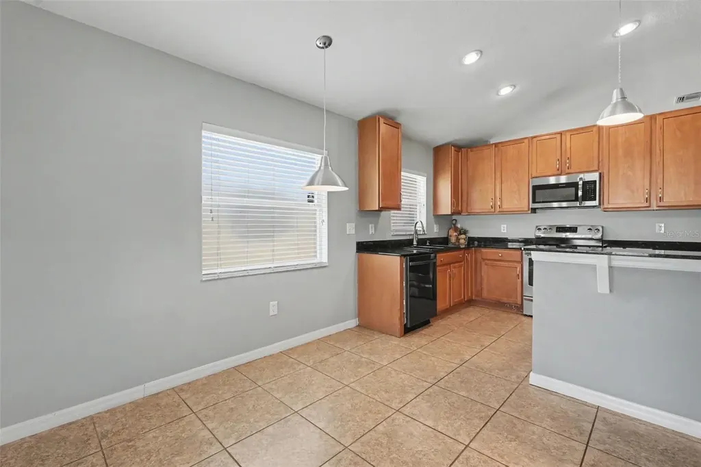 3247 Dunstable Drive Land O Lakes FL 34638
