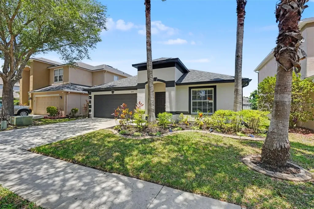 3247 Dunstable Drive Land O Lakes FL 34638