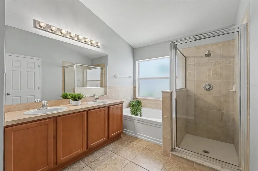 3247 Dunstable Drive Land O Lakes FL 34638