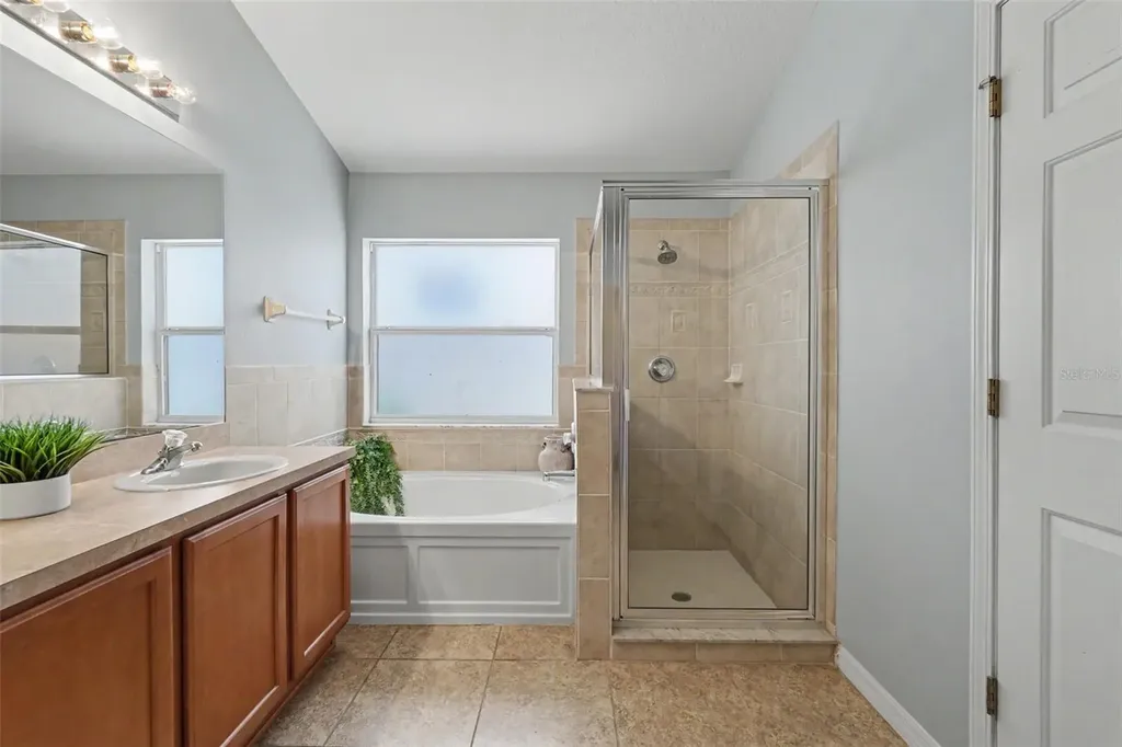 3247 Dunstable Drive Land O Lakes FL 34638
