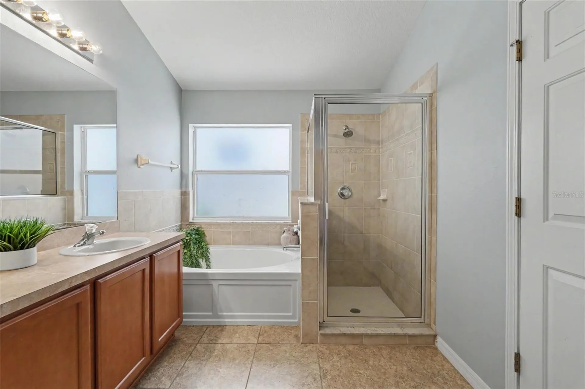 3247 Dunstable Drive Land O Lakes FL 34638