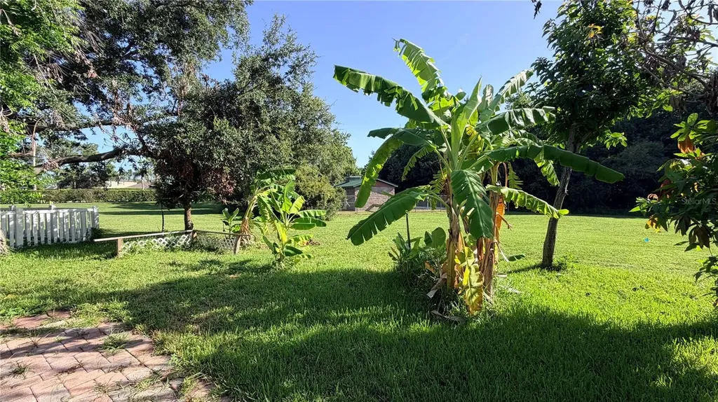 4712 Mapletree Loop Wesley Chapel FL 33544