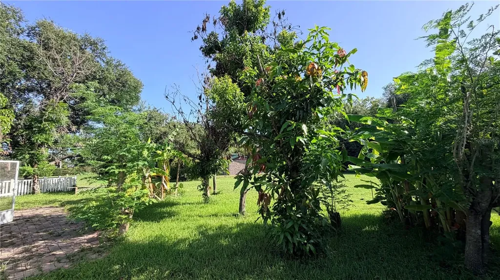 4712 Mapletree Loop Wesley Chapel FL 33544