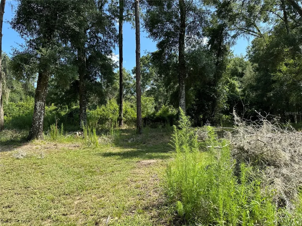11882 SW 58th Street Webster FL 33597