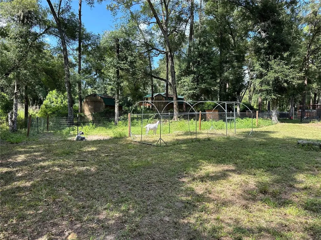 11882 SW 58th Street Webster FL 33597