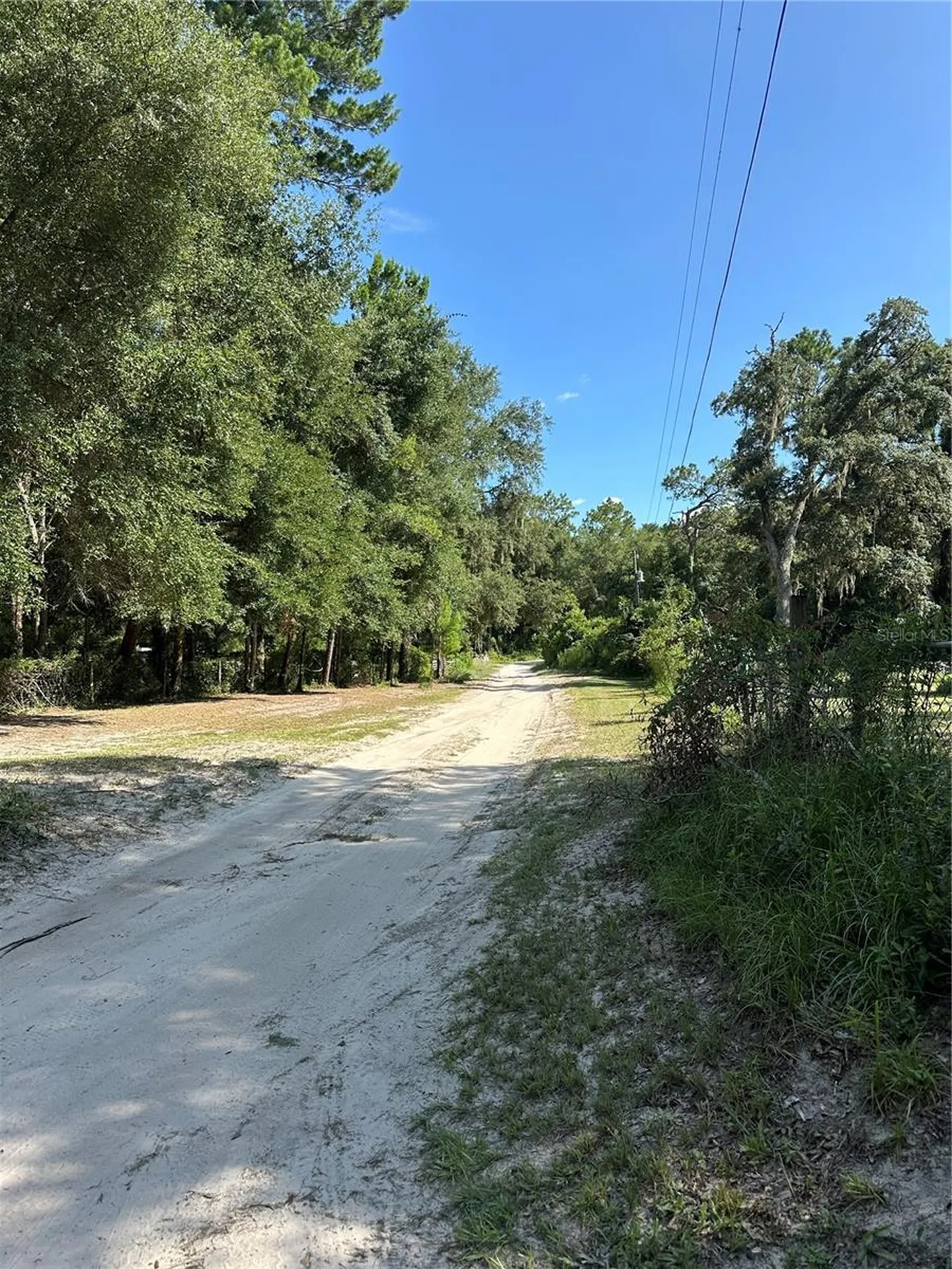 11882 SW 58th Street Webster FL 33597