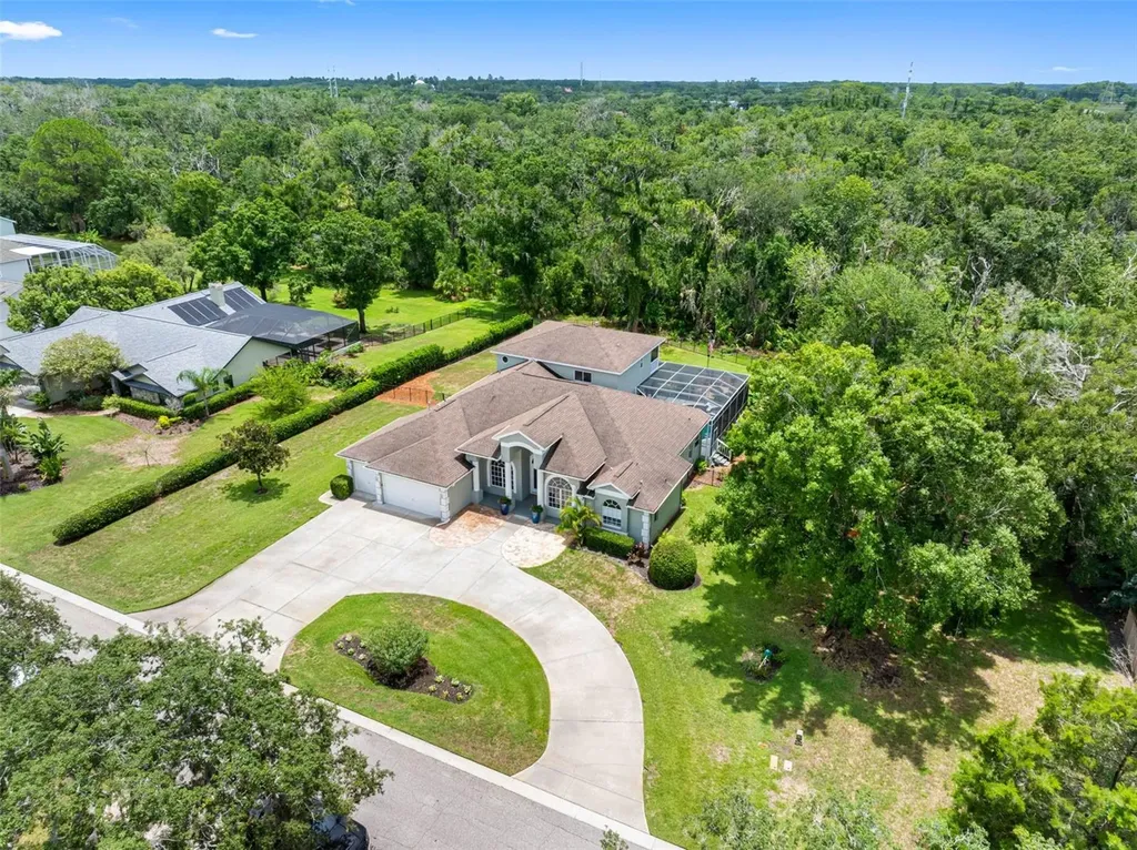 1079 Riverside Ridge Road Tarpon Springs FL 34688