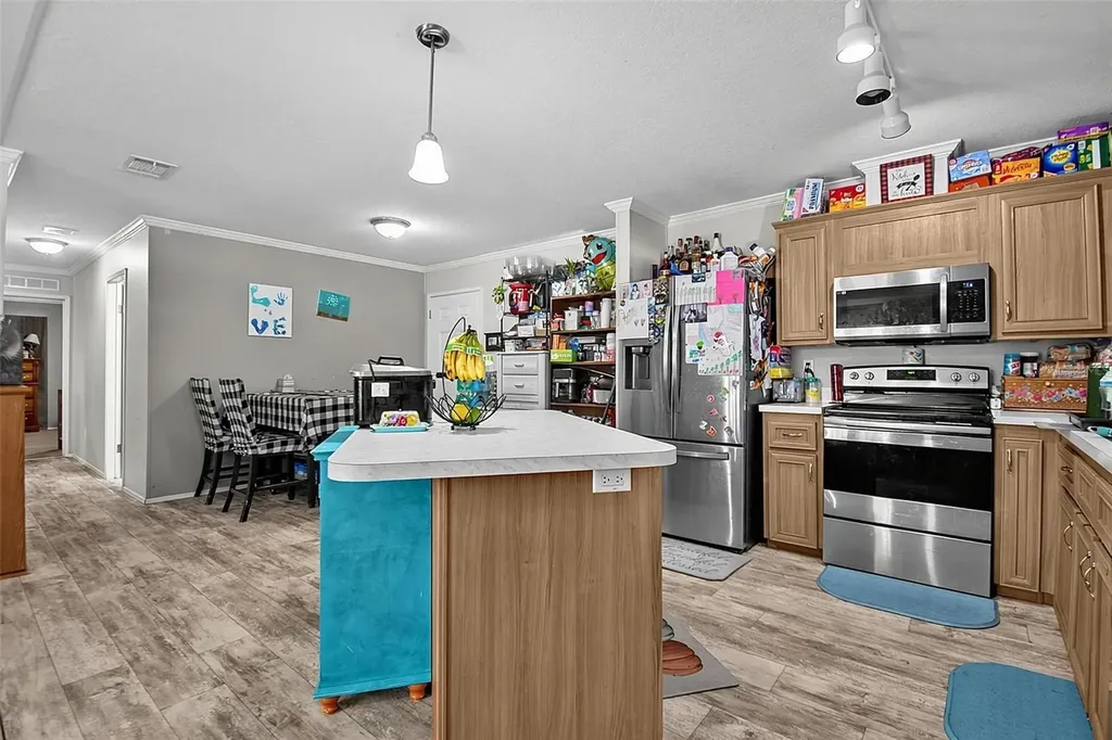 123 Magnolia Drive Satsuma FL 32189