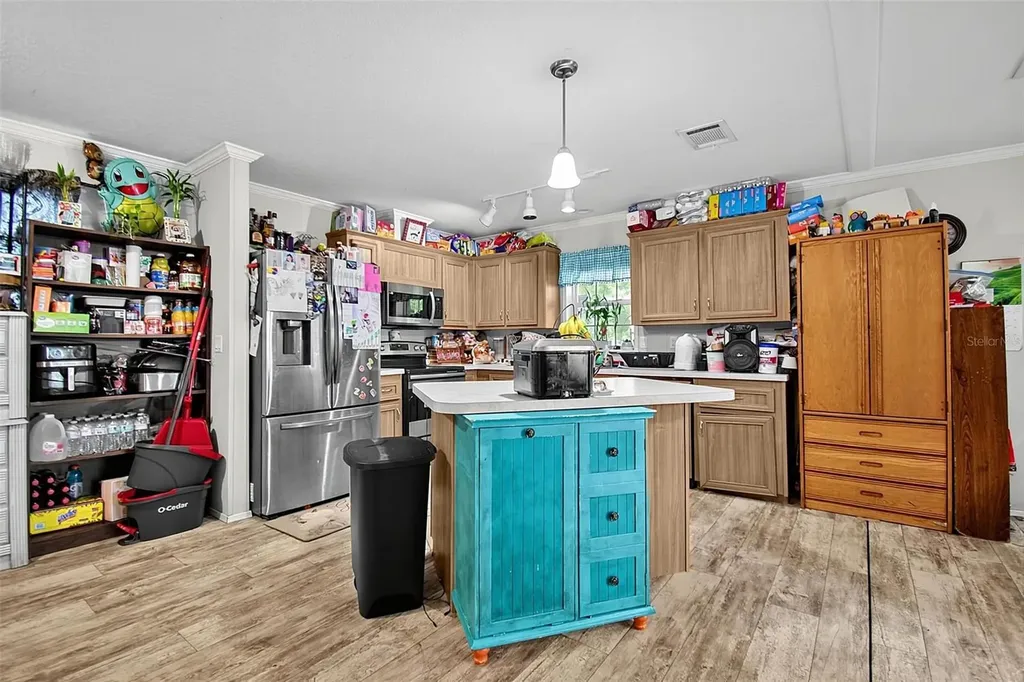 123 Magnolia Drive Satsuma FL 32189