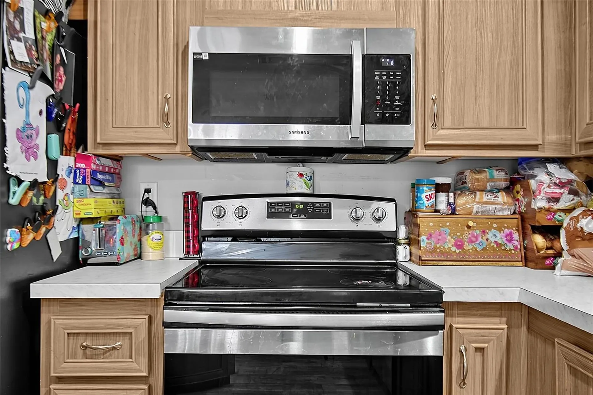 123 Magnolia Drive Satsuma FL 32189