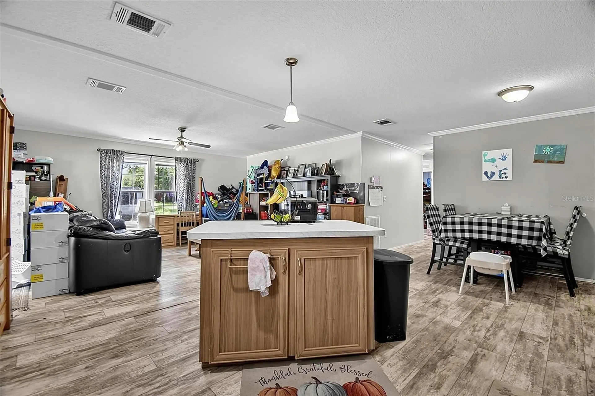 123 Magnolia Drive Satsuma FL 32189