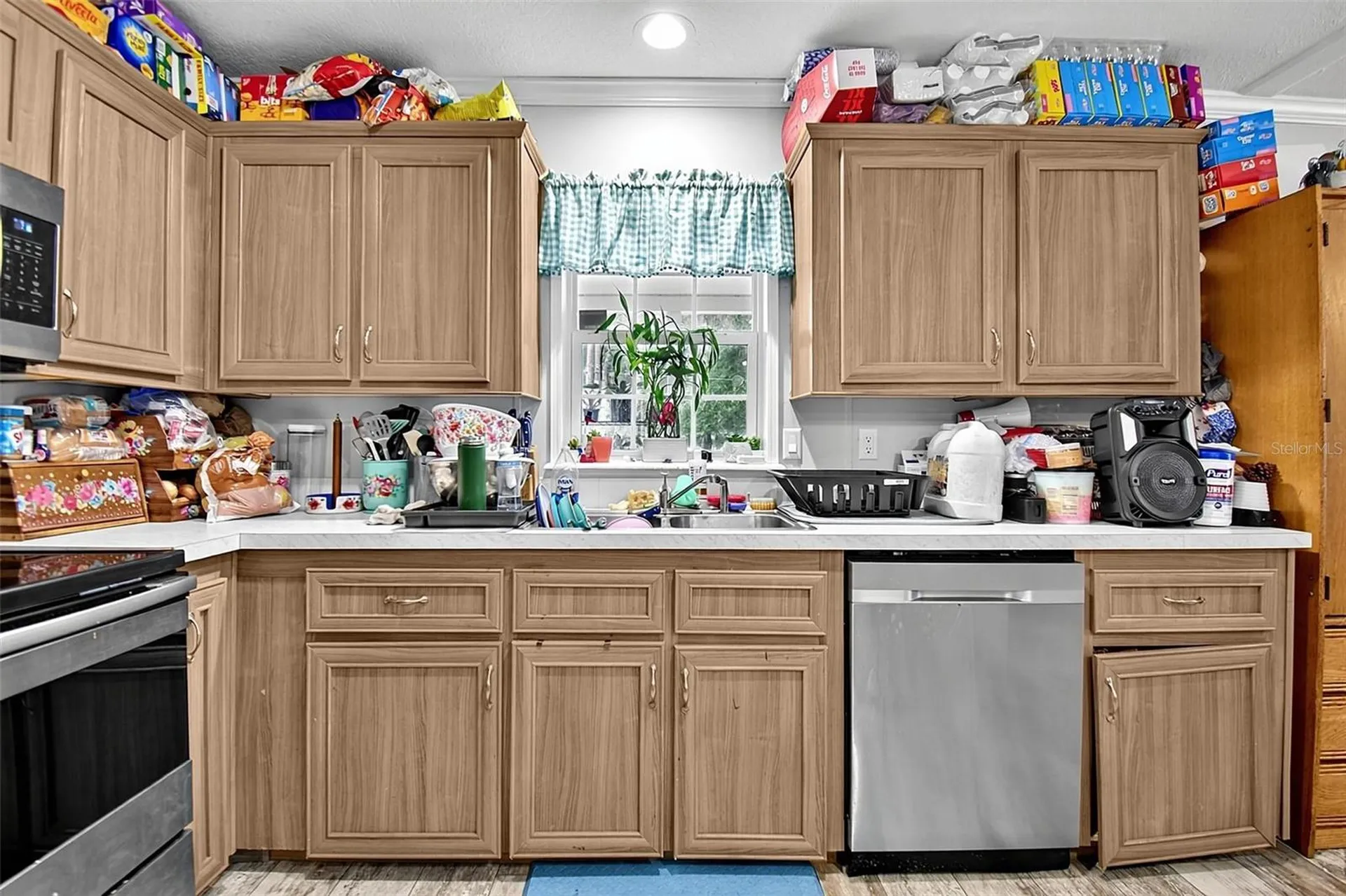 123 Magnolia Drive Satsuma FL 32189