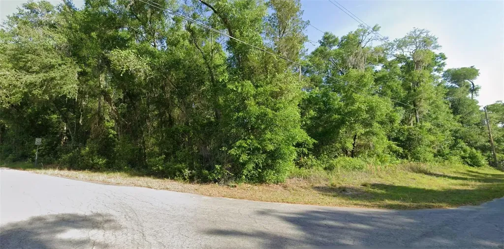 6365 E Peach Street Inverness FL 34452