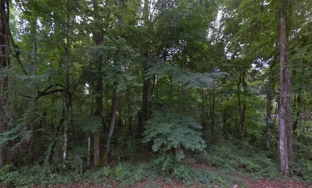 SE 42nd Court Belleview FL 34420