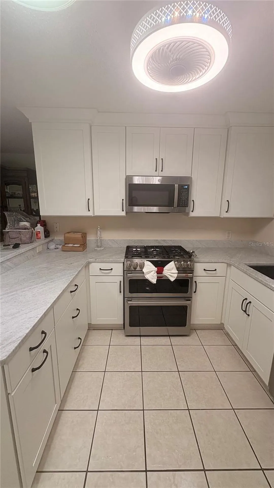 773 Artesia Avenue The Villages FL 32162