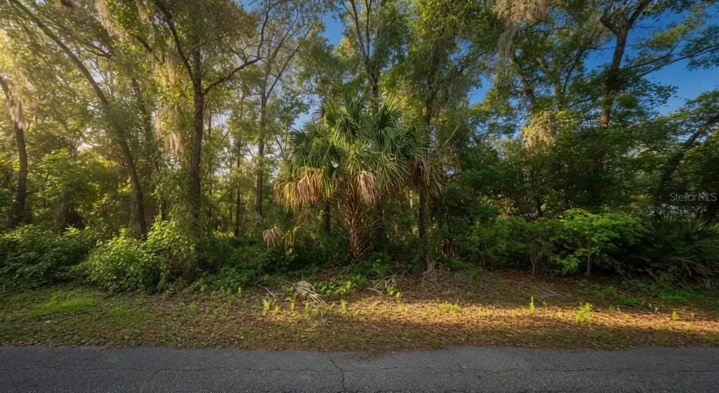 282 N Savary Avenue Inverness FL 34453