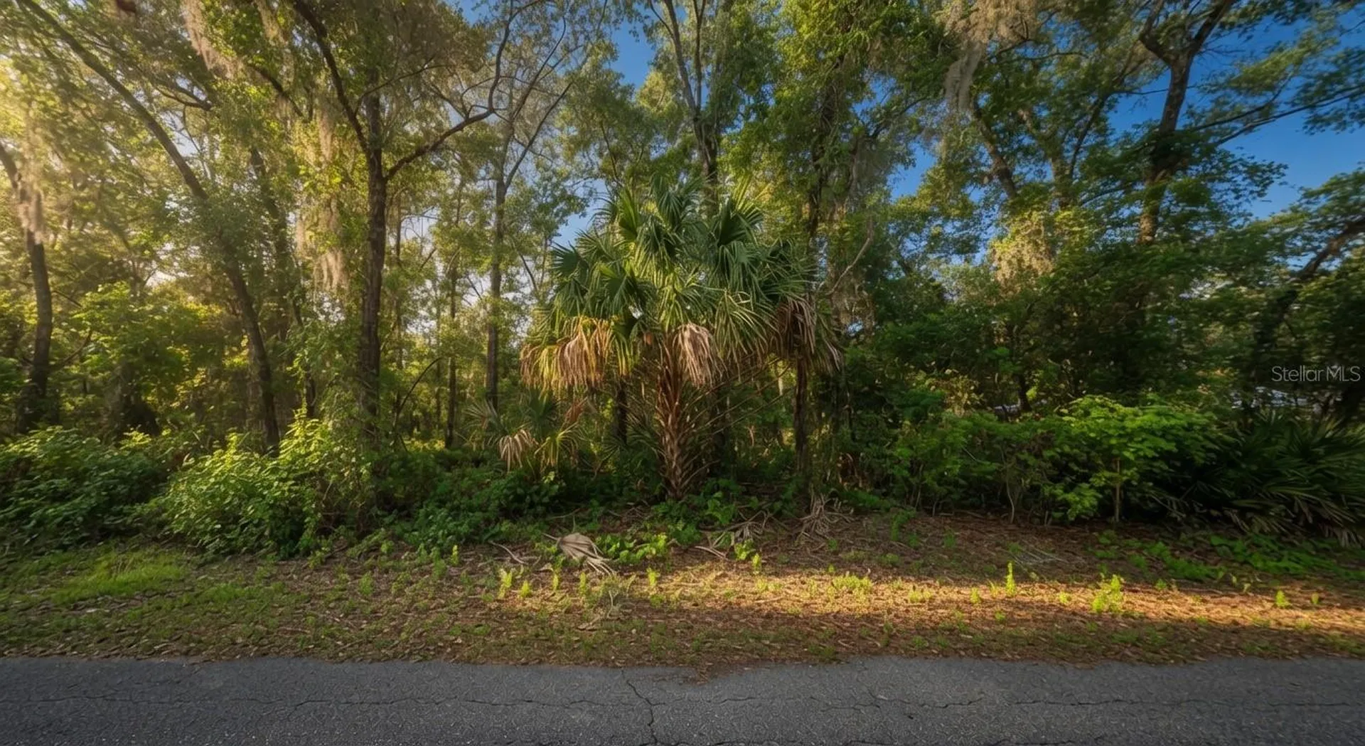 282 N Savary Avenue Inverness FL 34453