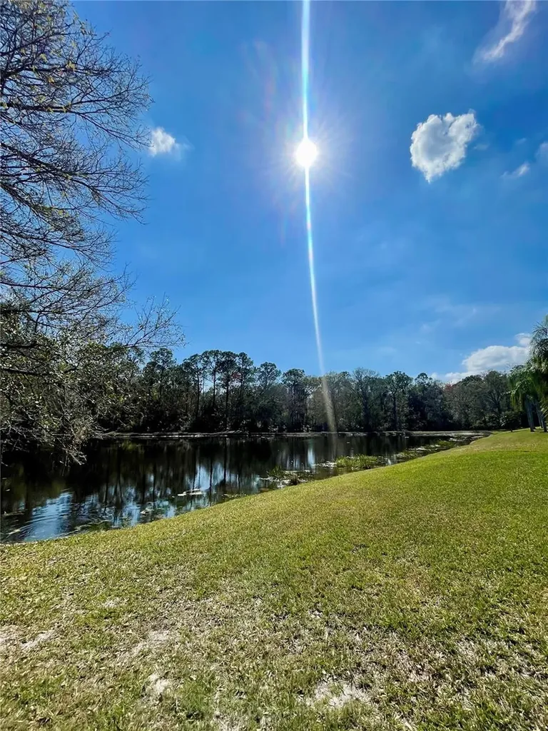 13261 Royal George Avenue Odessa FL 33556