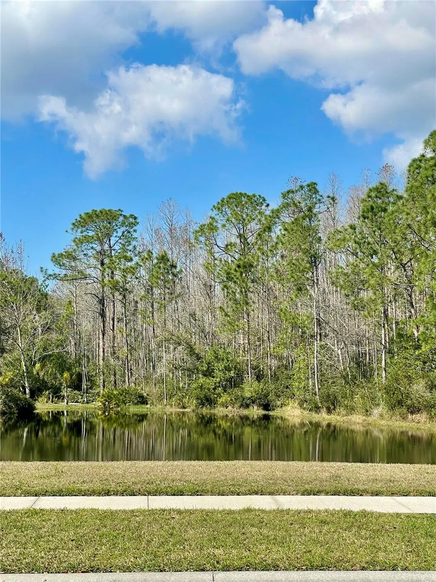13261 Royal George Avenue Odessa FL 33556