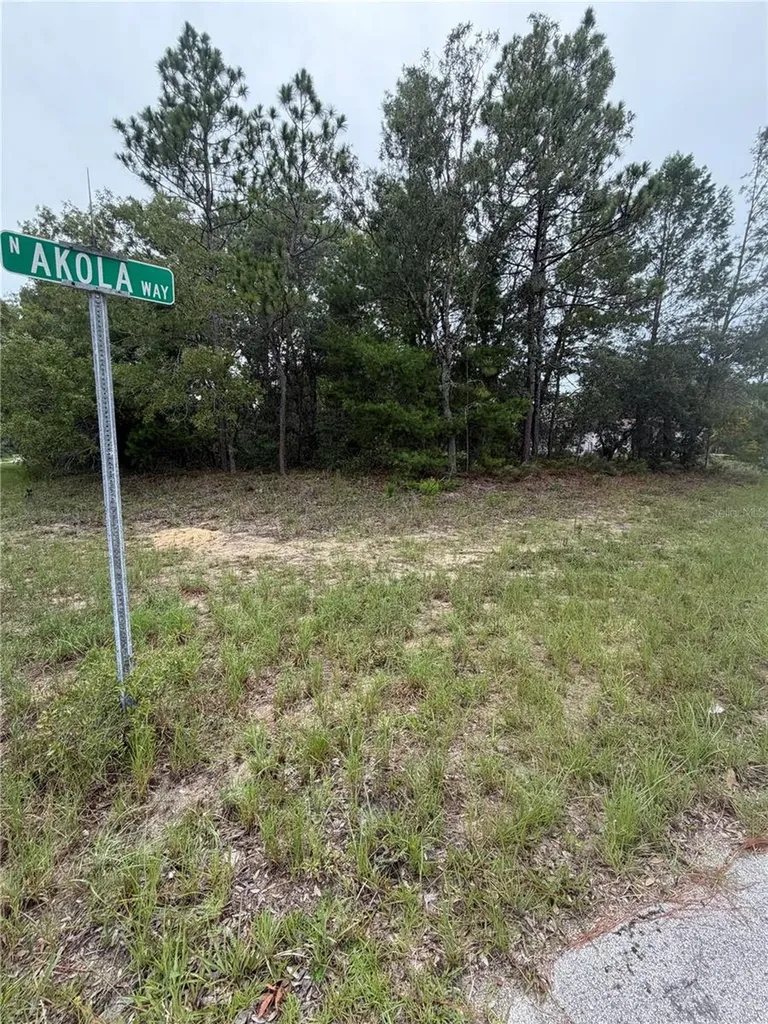 9512 N Akola Way Citrus Springs FL 34434