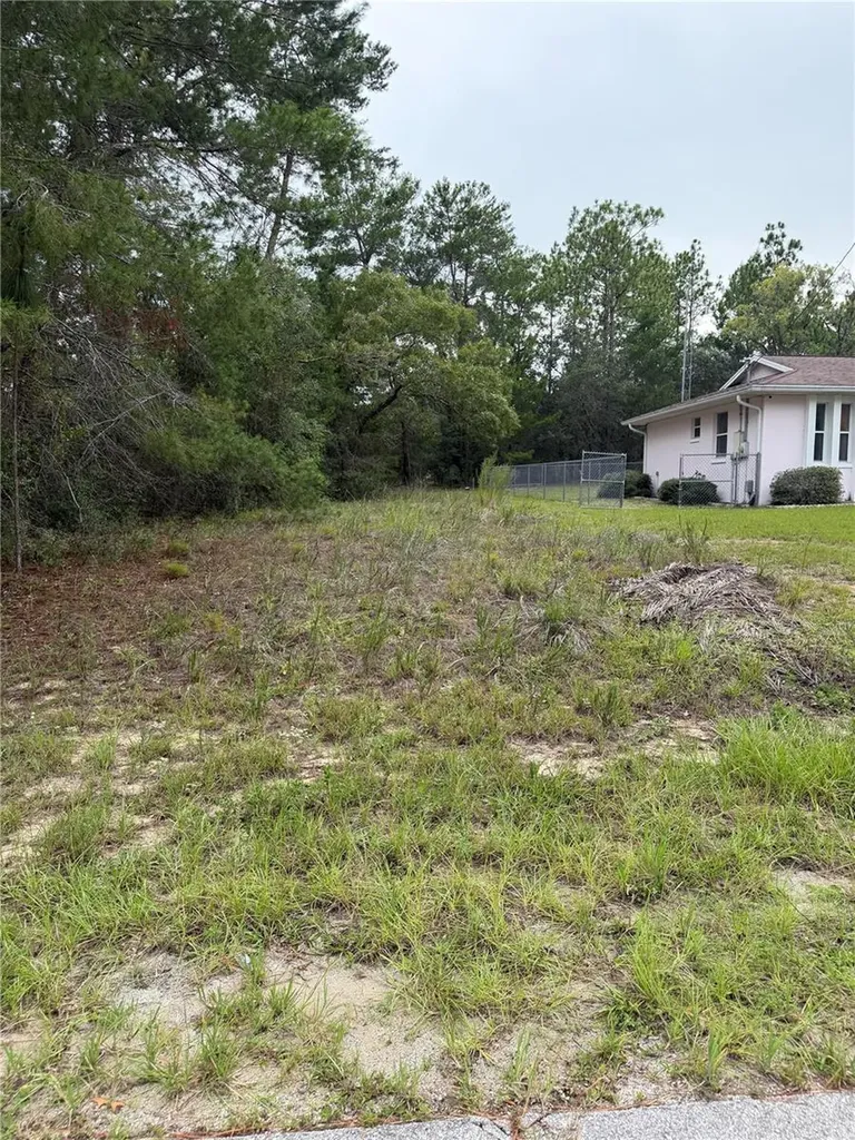 9512 N Akola Way Citrus Springs FL 34434