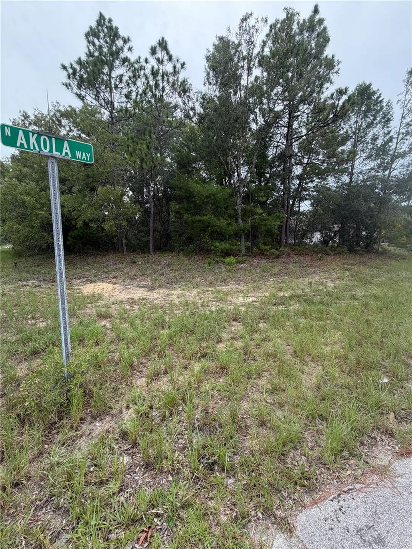 9512 N Akola Way Citrus Springs FL 34434