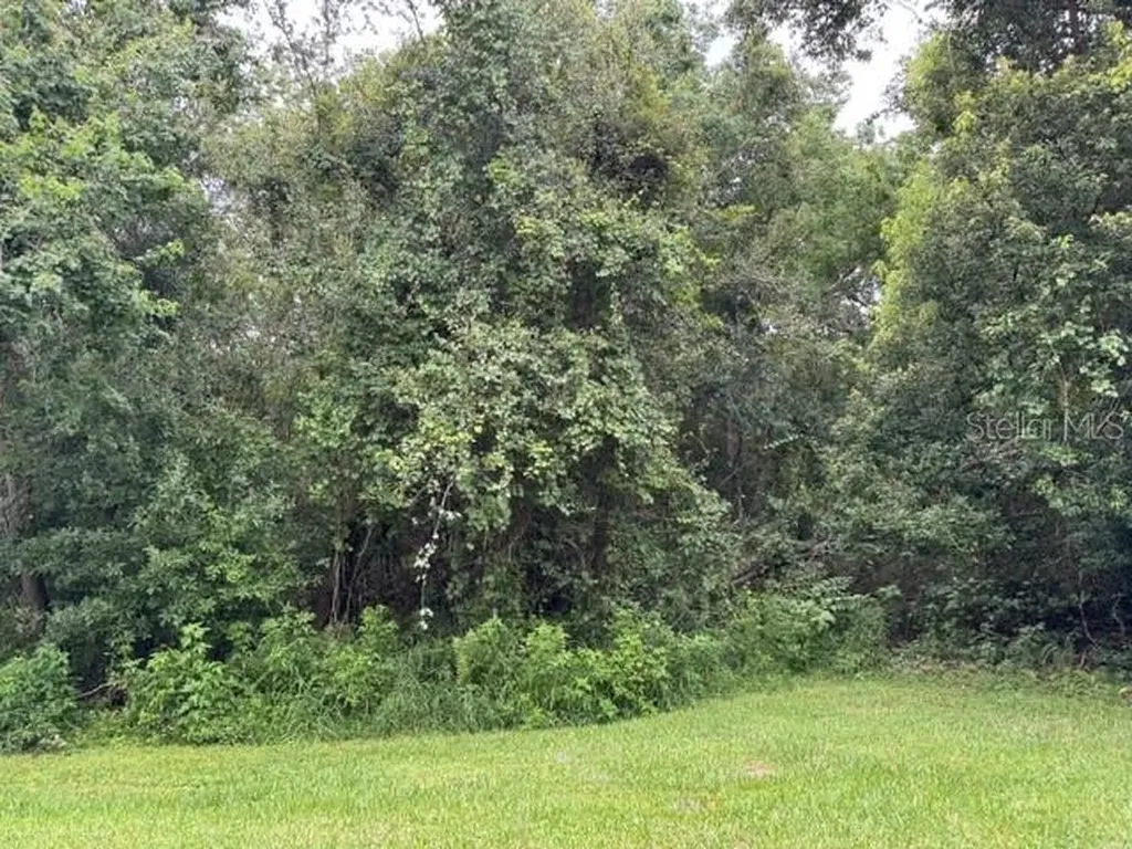 1470 Broken Oak Drive Winter Garden FL 34787
