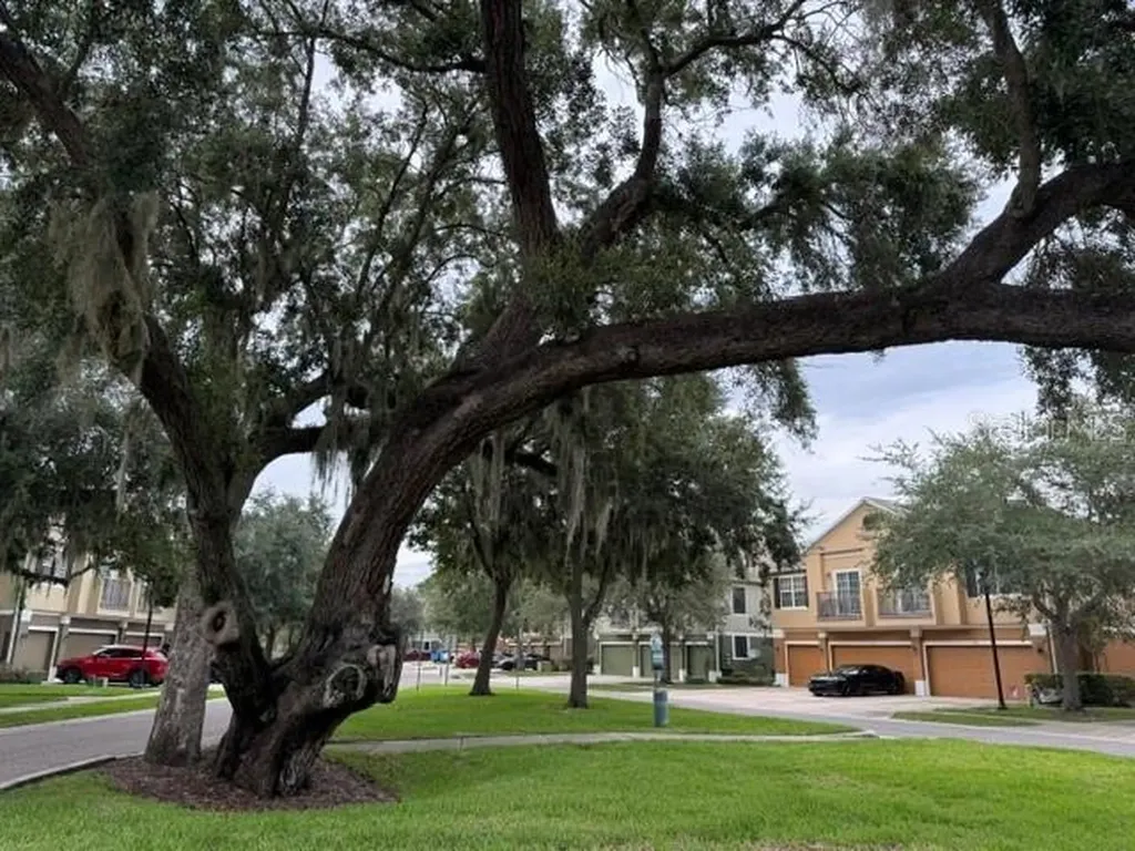 1470 Broken Oak Drive Winter Garden FL 34787