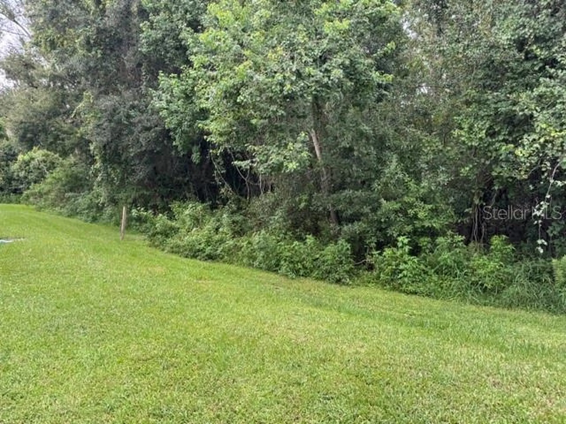 1470 Broken Oak Drive Winter Garden FL 34787