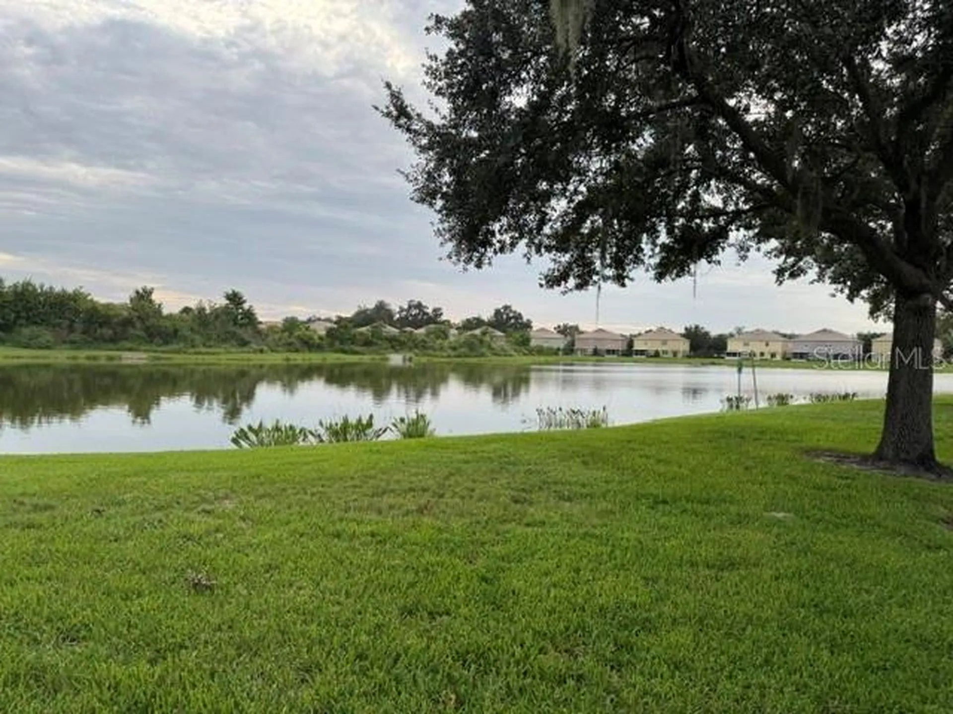1470 Broken Oak Drive Winter Garden FL 34787