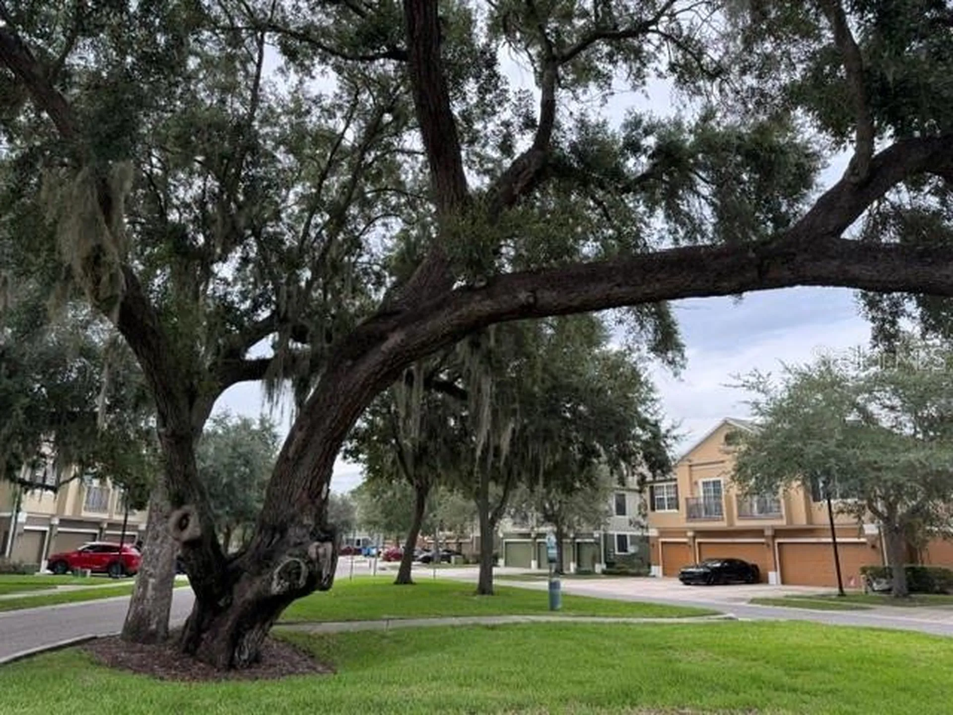 1470 Broken Oak Drive Winter Garden FL 34787