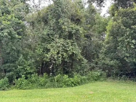 1470 Broken Oak Drive Winter Garden FL 34787