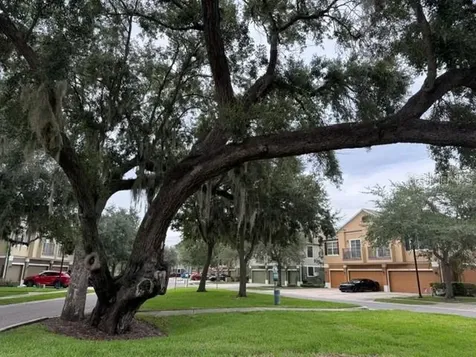 1470 Broken Oak Drive Winter Garden FL 34787